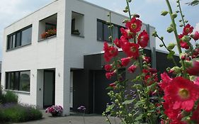 B&B De Beverhoek